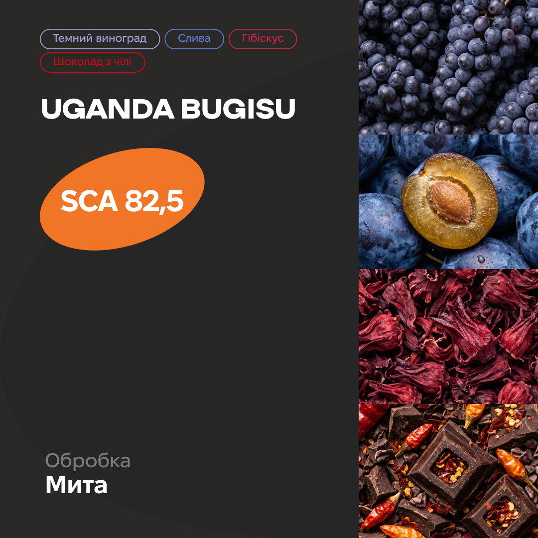 Uganda Bugisu