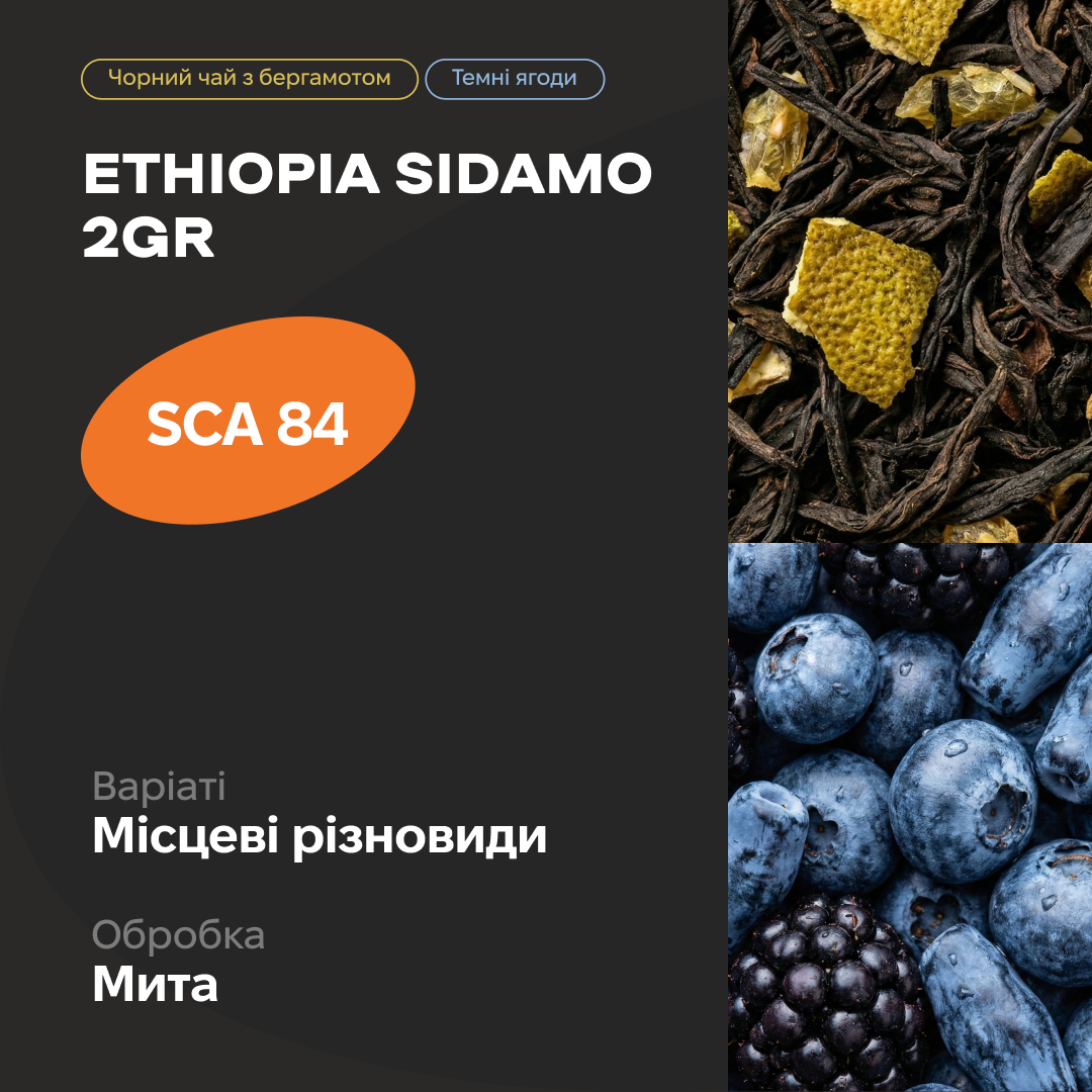 Ethiopia Sidamo 2GR